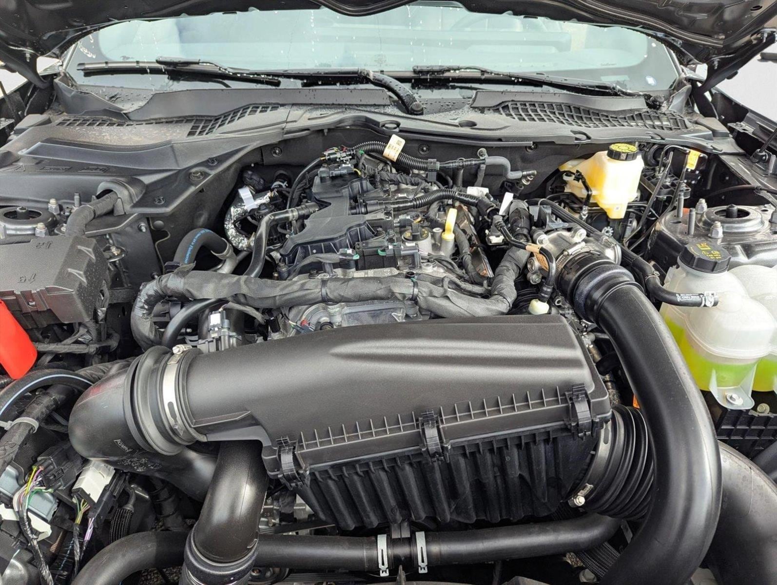 2025 Ford Mustang EcoBoost Premium Fastback - Photo 15
