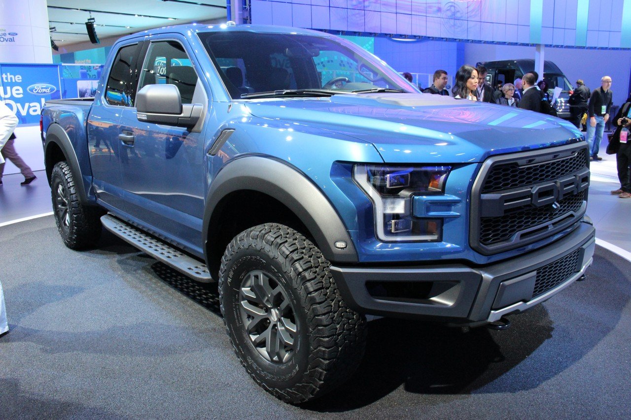 raptor.jpg