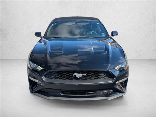 2019 Ford Mustang EcoBoost Premium Convertible photo 2