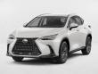Used 2022 Lexus NX NX 250 Sport Utility
