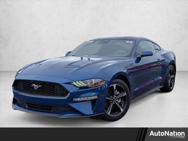 2022 Ford Mustang EcoBoost's photo