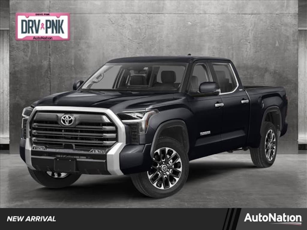 Used Toyota Tundra For Sale Panama City, FL 5TFJA5AB1RX037187