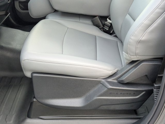 2025 Ford F-150 XL photo 4