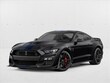 Ford Shelby GT500