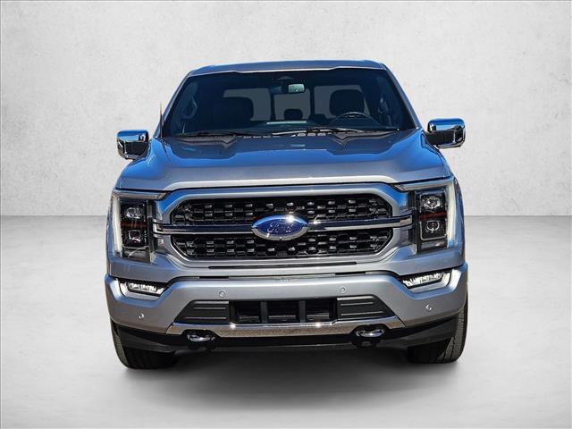 2021 Ford F-150 Platinum photo 2