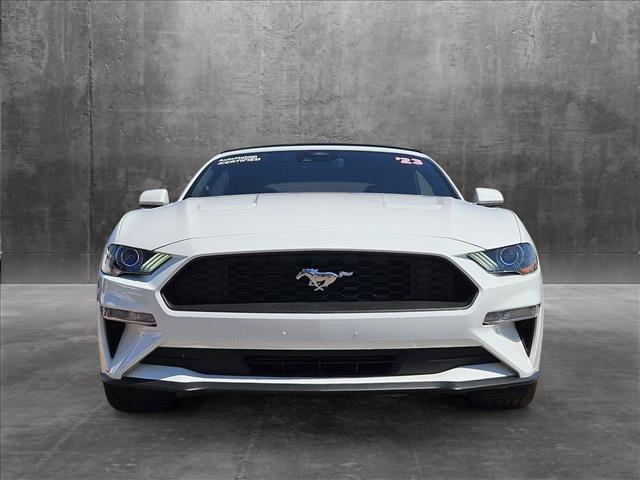 Used 2023 Ford Mustang EcoBoost with VIN 1FATP8UH8P5111535 for sale in Scottsdale, AZ