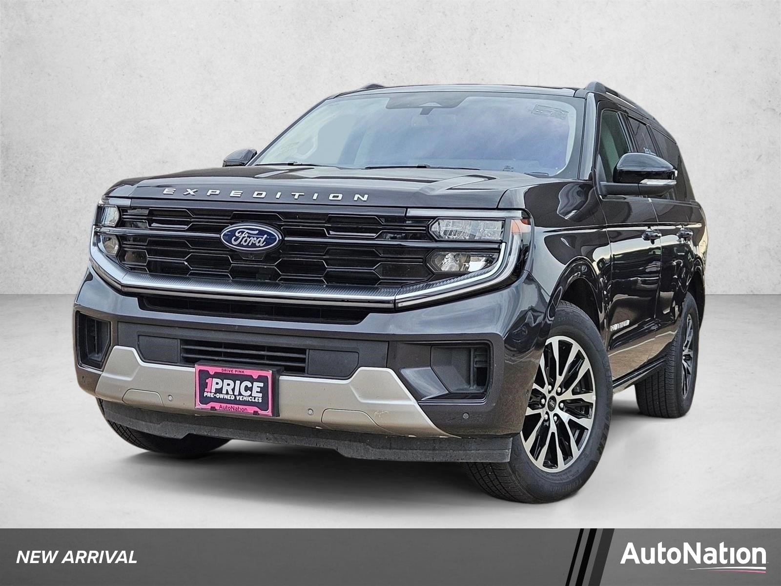 2025 Ford Expedition Platinum 4x4's photo
