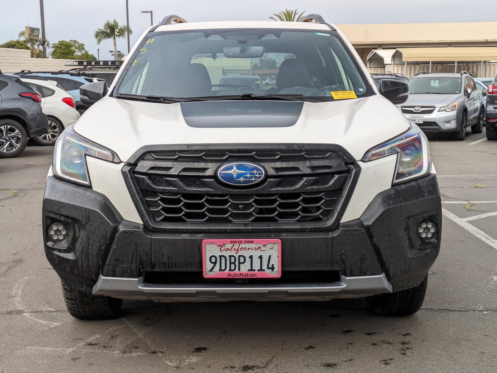 Used 2022 Subaru Forester Wilderness with VIN JF2SKAMC9NH504957 for sale in Carlsbad, CA