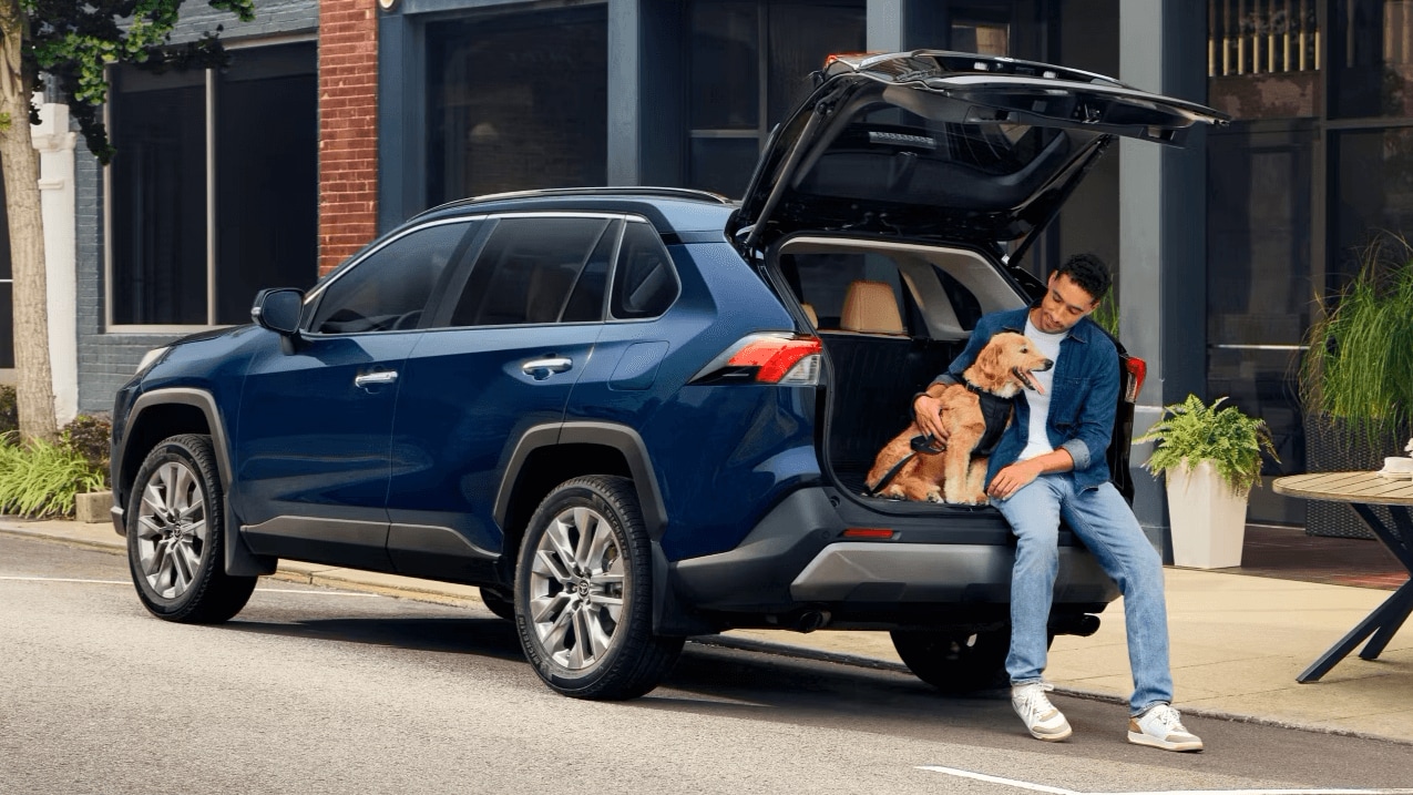 Toyota RAV4 with a man and dog sitting in the trunk