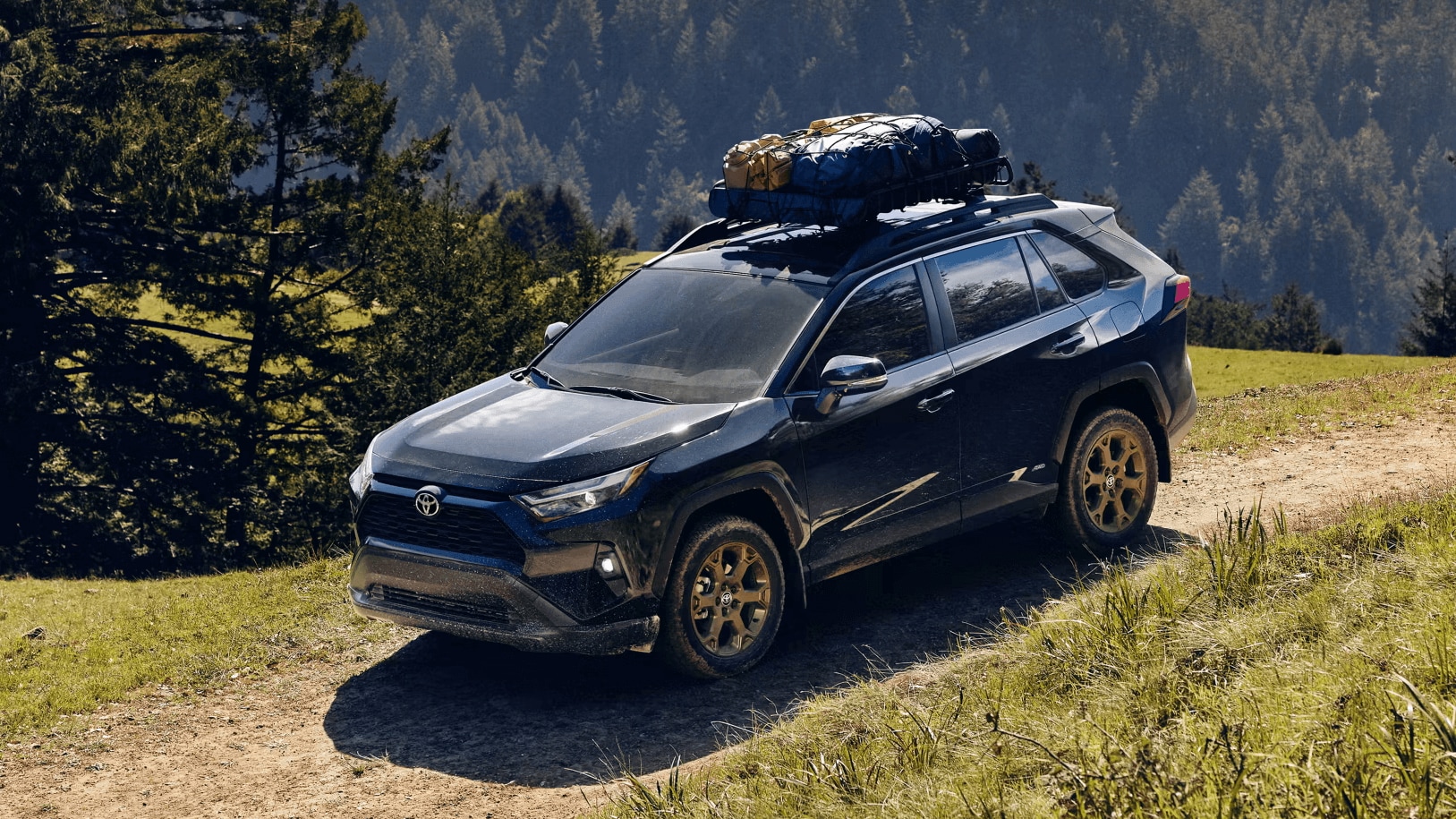 Toyota RAV4 traveling down a dirt road in the woods