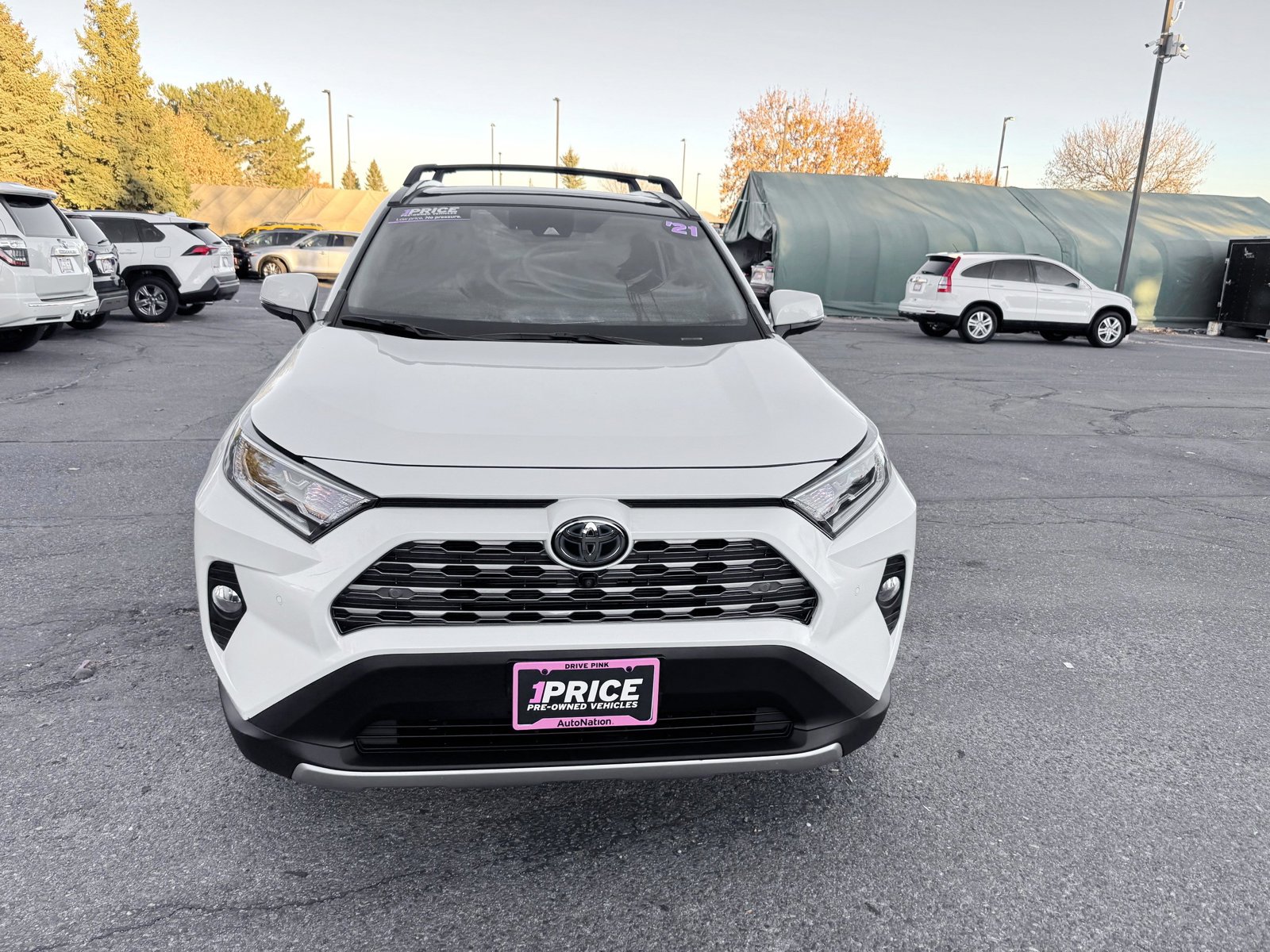 2021 Toyota RAV4 Hybrid Limited photo 2