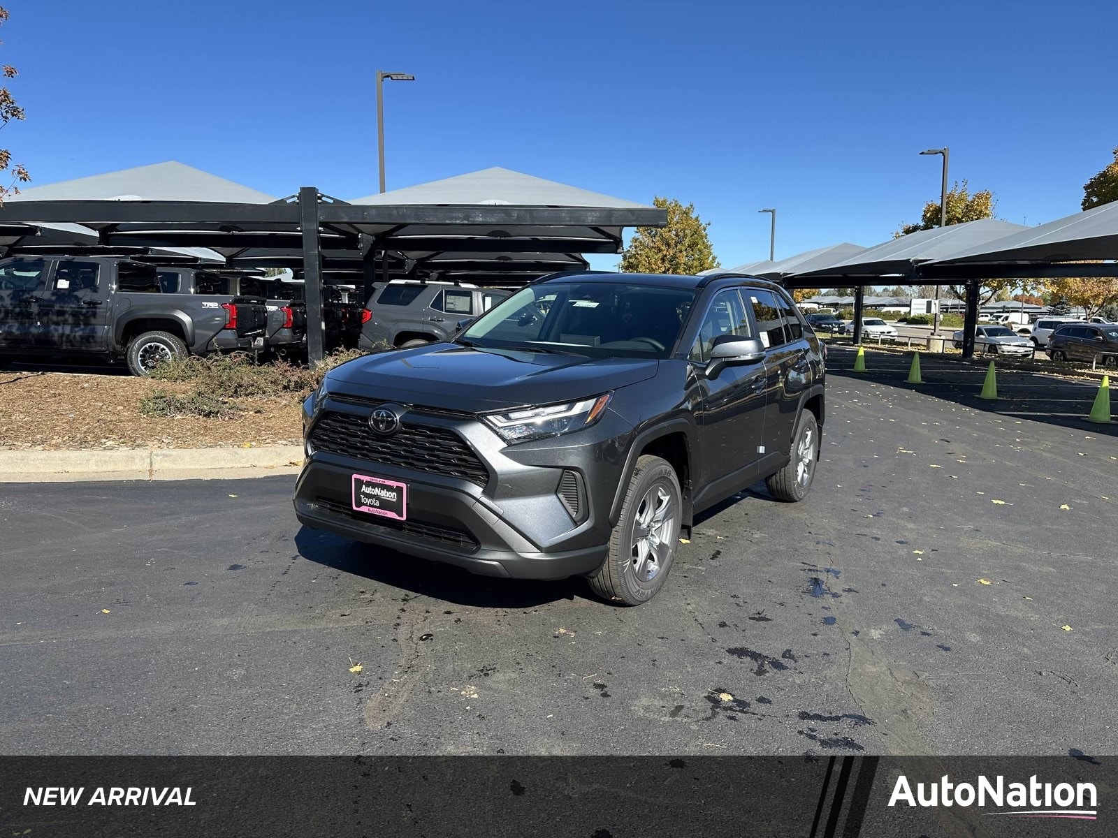 2025 Toyota RAV4 XLE AWD's photo