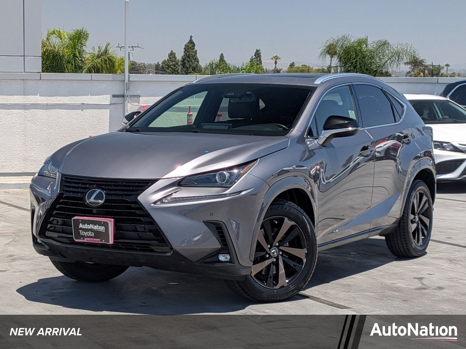 2020 Lexus NX 300 NX 300
