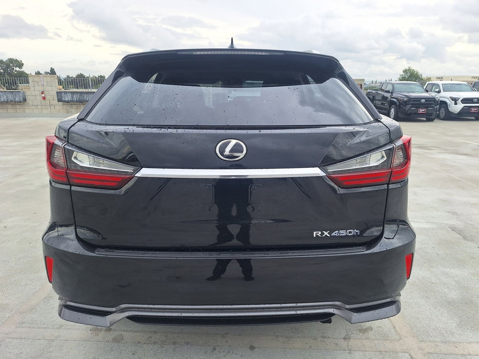2018 LEXUS RX 450h photo 6