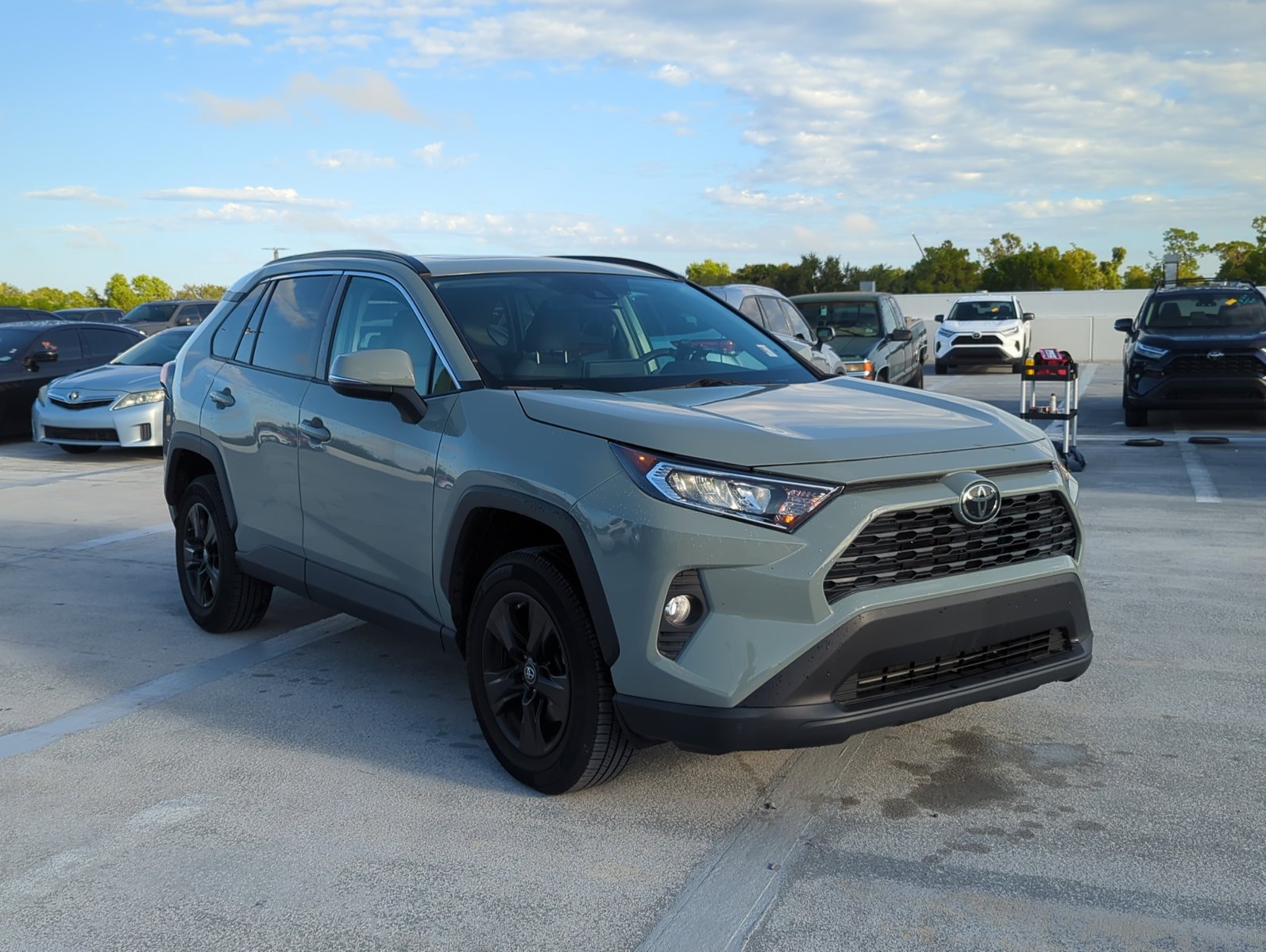 2019 Toyota RAV4 XLE photo 3