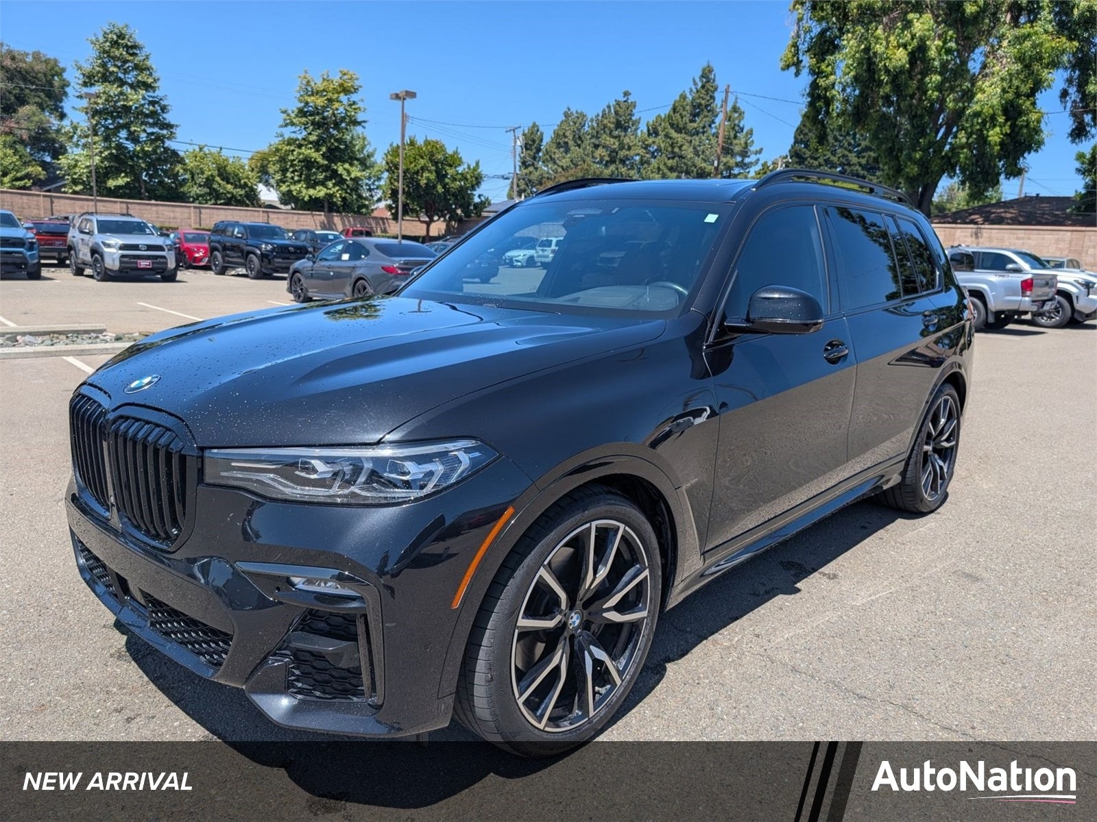 2019 BMW X7 xDrive50i's photo