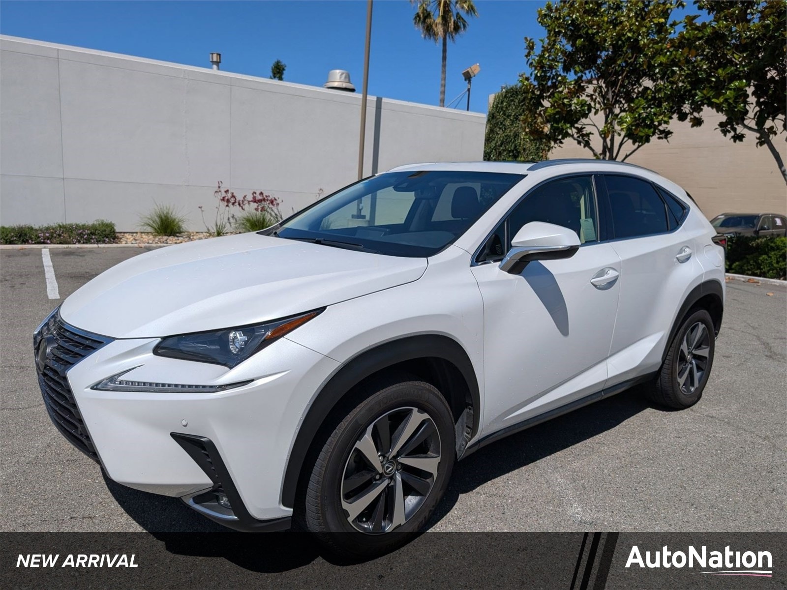 2019 Lexus NX 350 300 FWD's photo