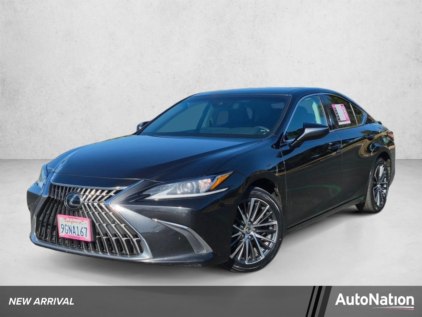 2023 Lexus ES 300h 300h's photo