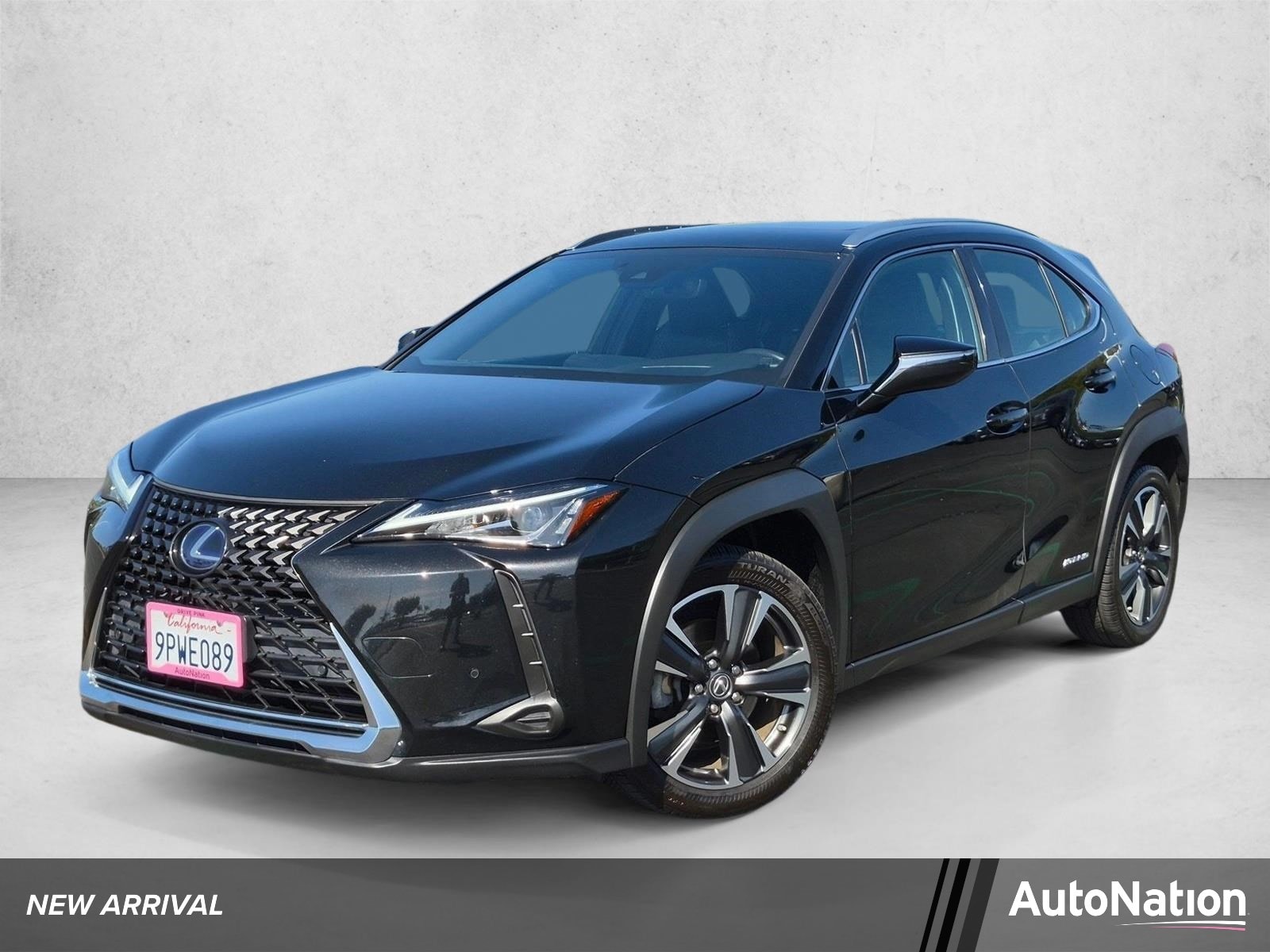2019 Lexus UX 300h 250h AWD's photo