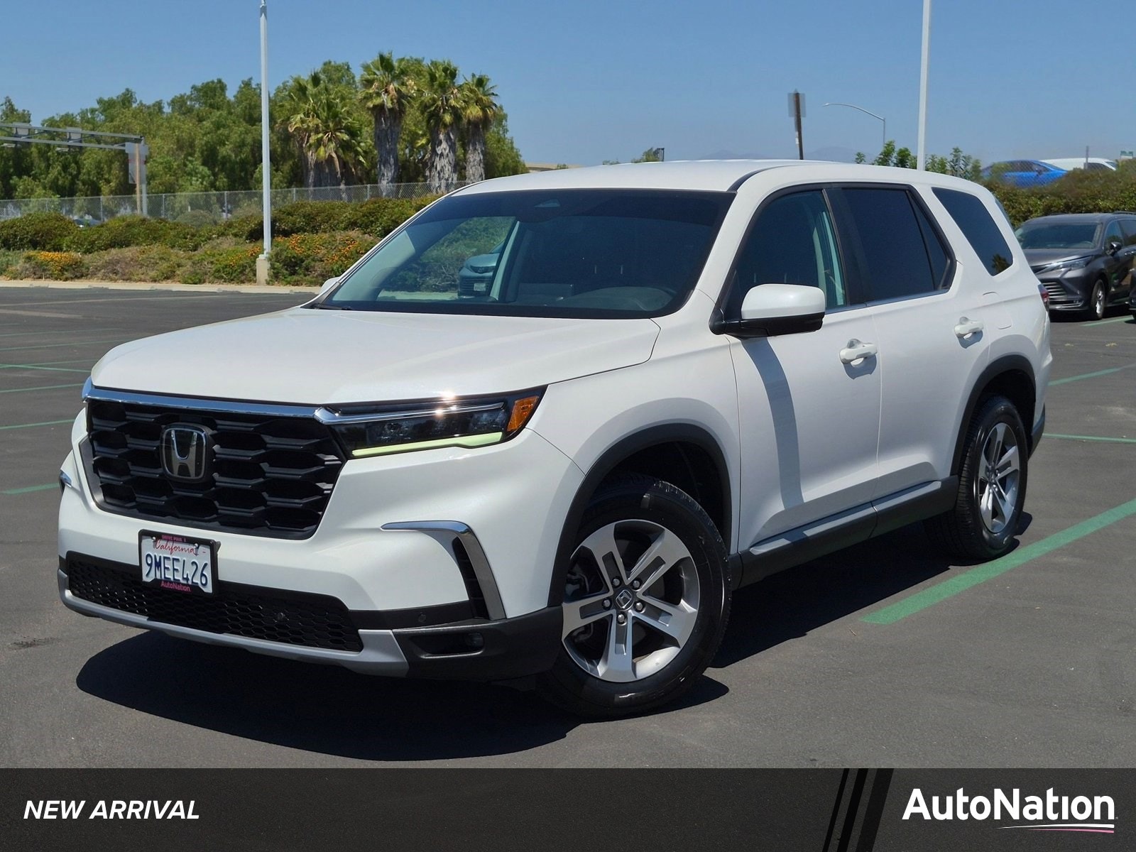 2024 Honda Pilot EX-L 8-Occupant AWD's photo