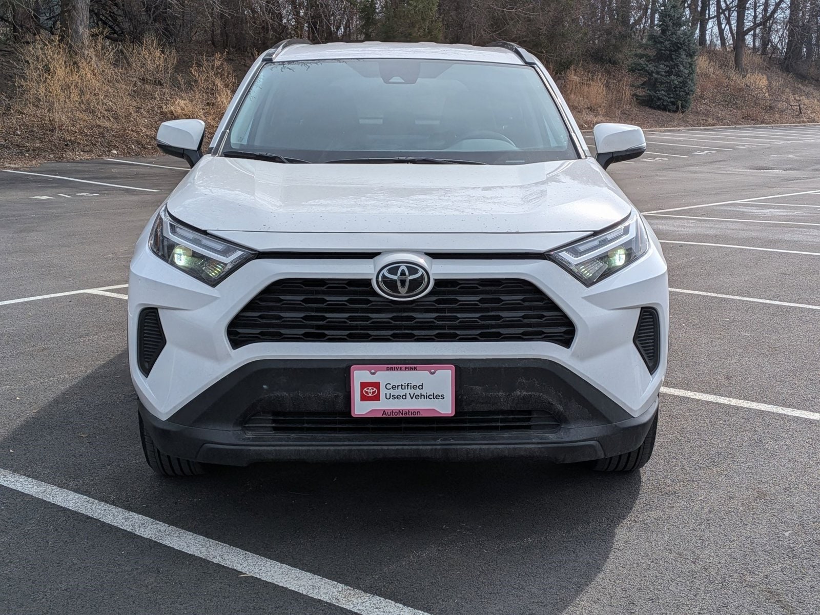 2025 TOYOTA RAV4 - Image 2