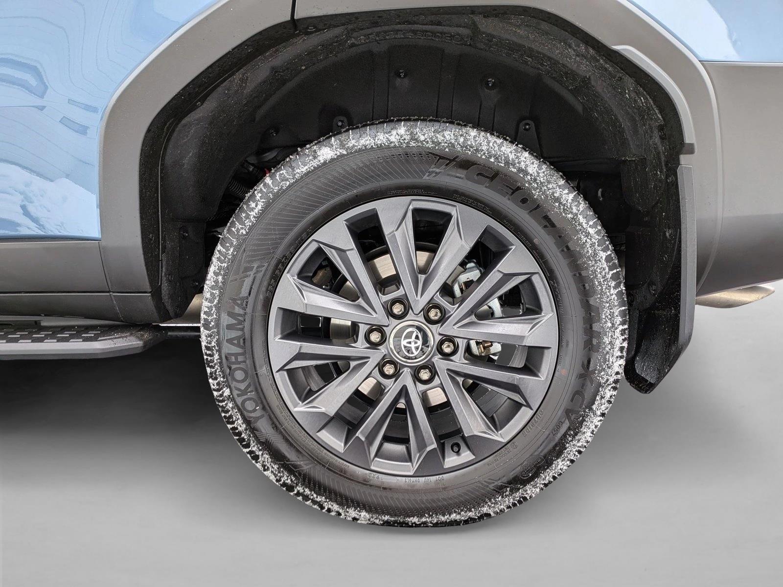 2025 TOYOTA LAND CRUISER - Image 22