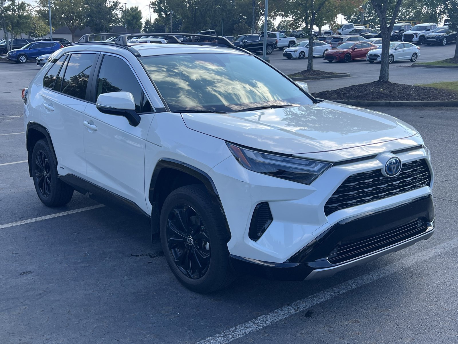 2022 Toyota RAV4 Hybrid SE photo 3