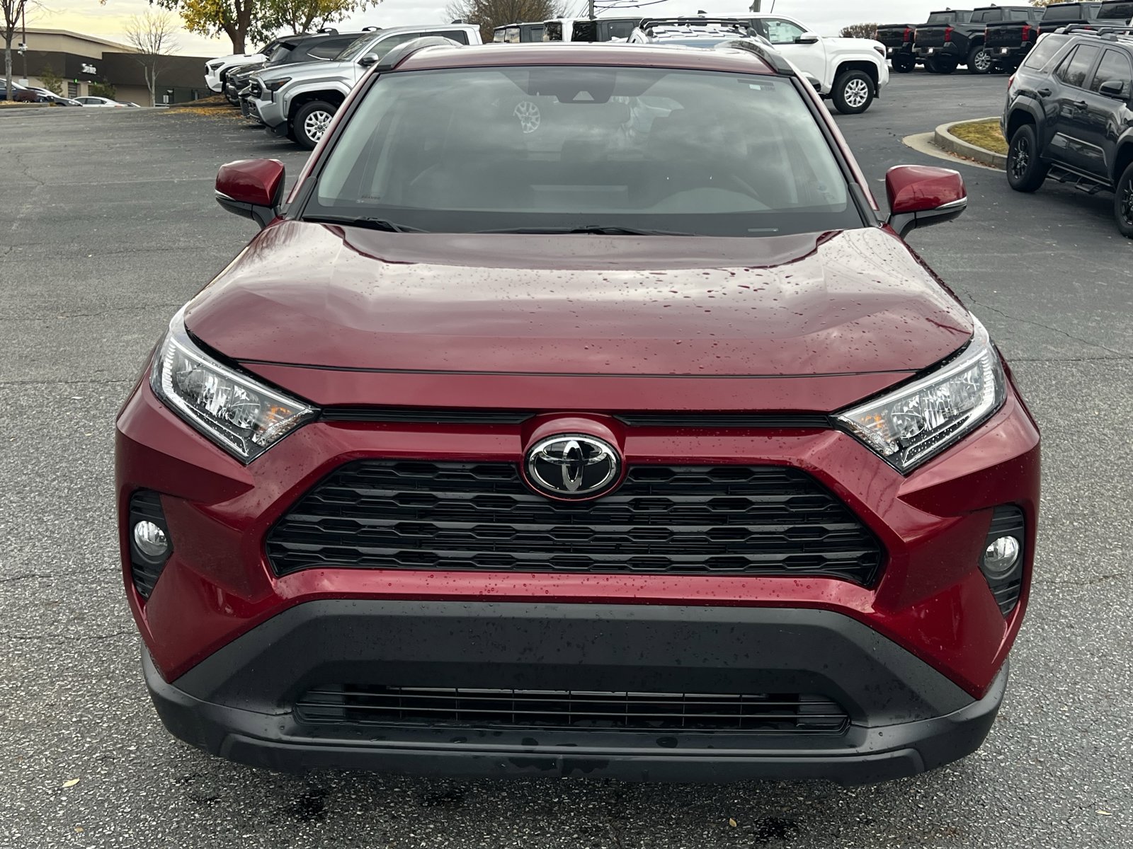 2020 Toyota RAV4 XLE Premium photo 2