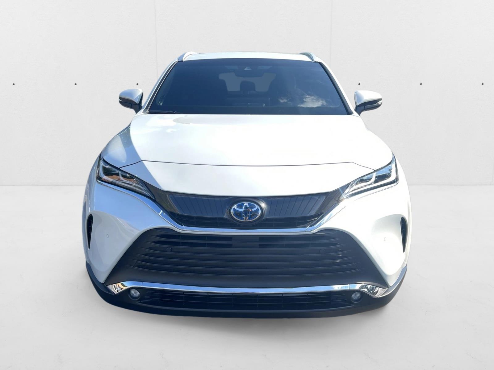 2024 Toyota Venza XLE photo 2