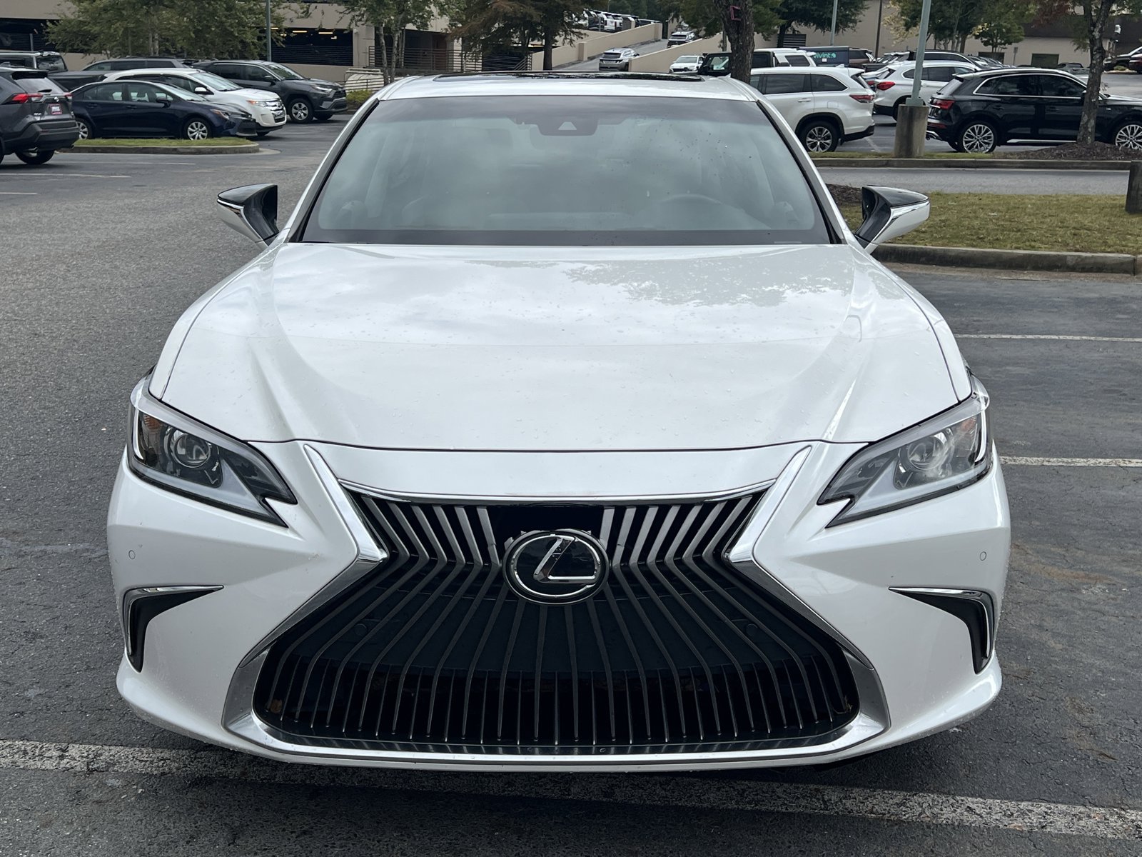 2021 Lexus ES 250 photo 2