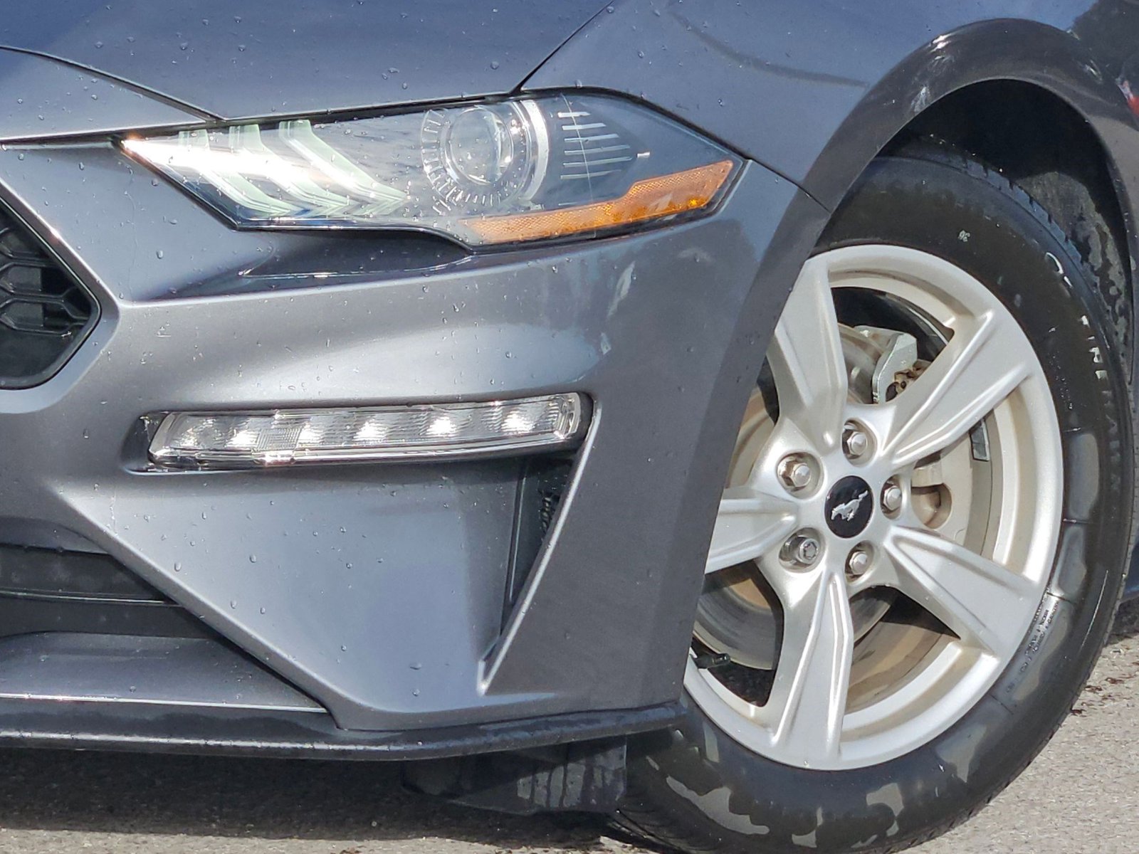 2021 Ford Mustang EcoBoost Convertible photo 4