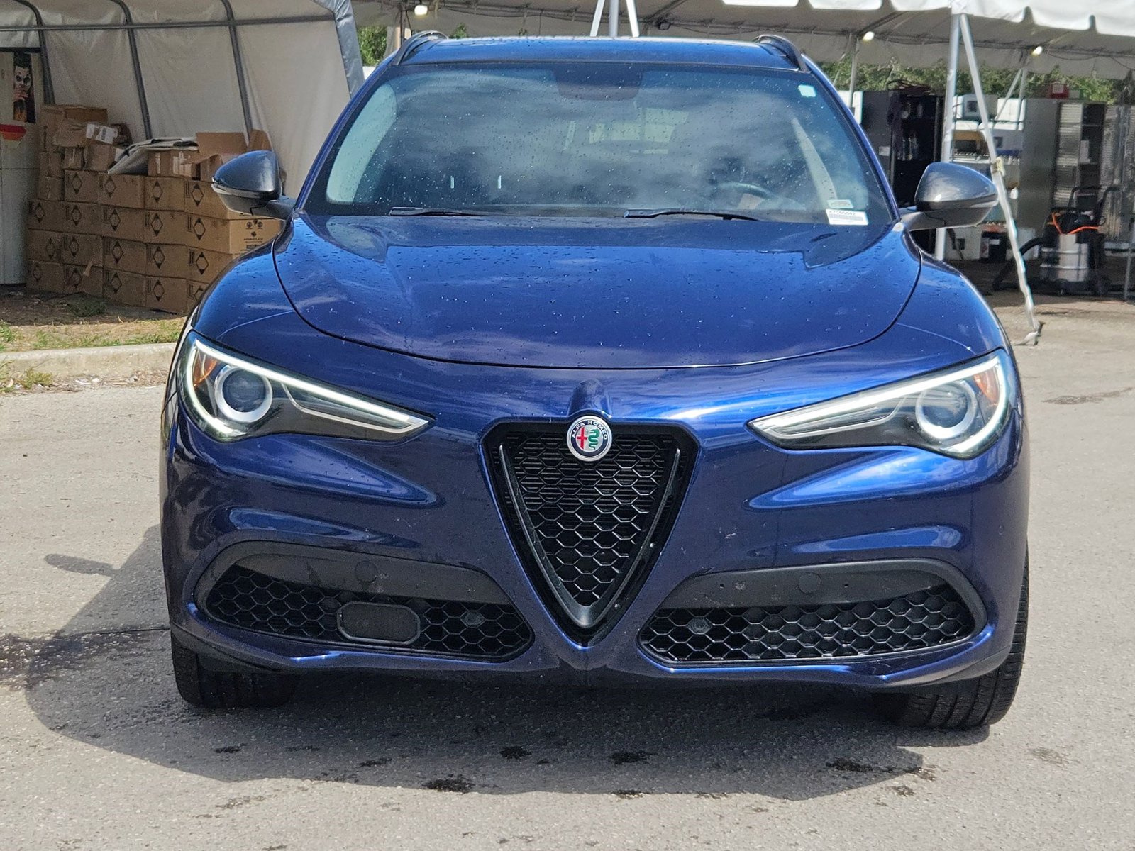 2019 Alfa Romeo Stelvio Ti photo 2