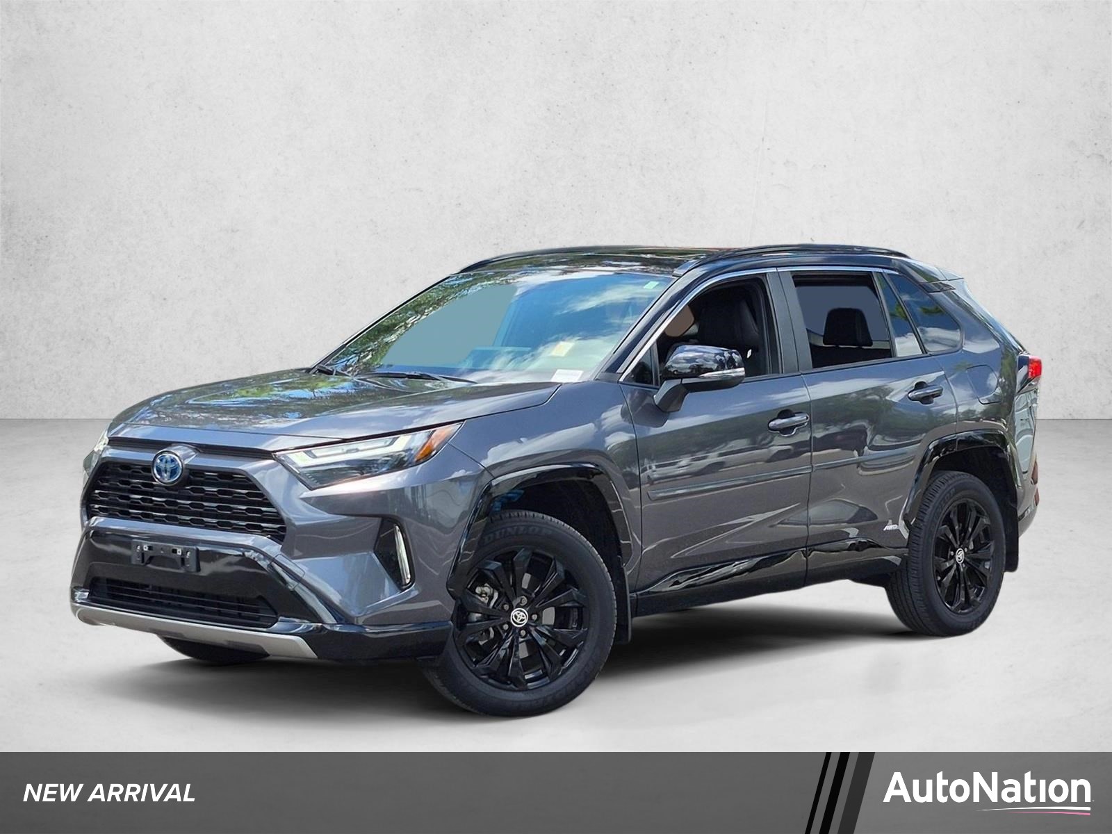  Toyota RAV4 Hybrid