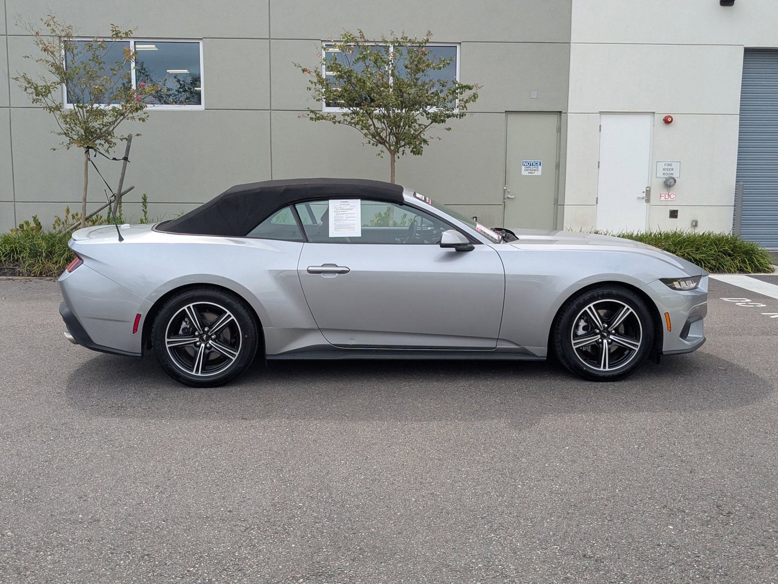 2024 Ford Mustang EcoBoost Premium Convertible photo 3