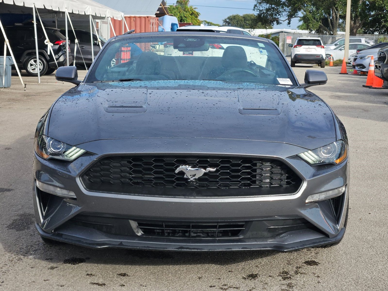 2021 Ford Mustang EcoBoost Convertible photo 2