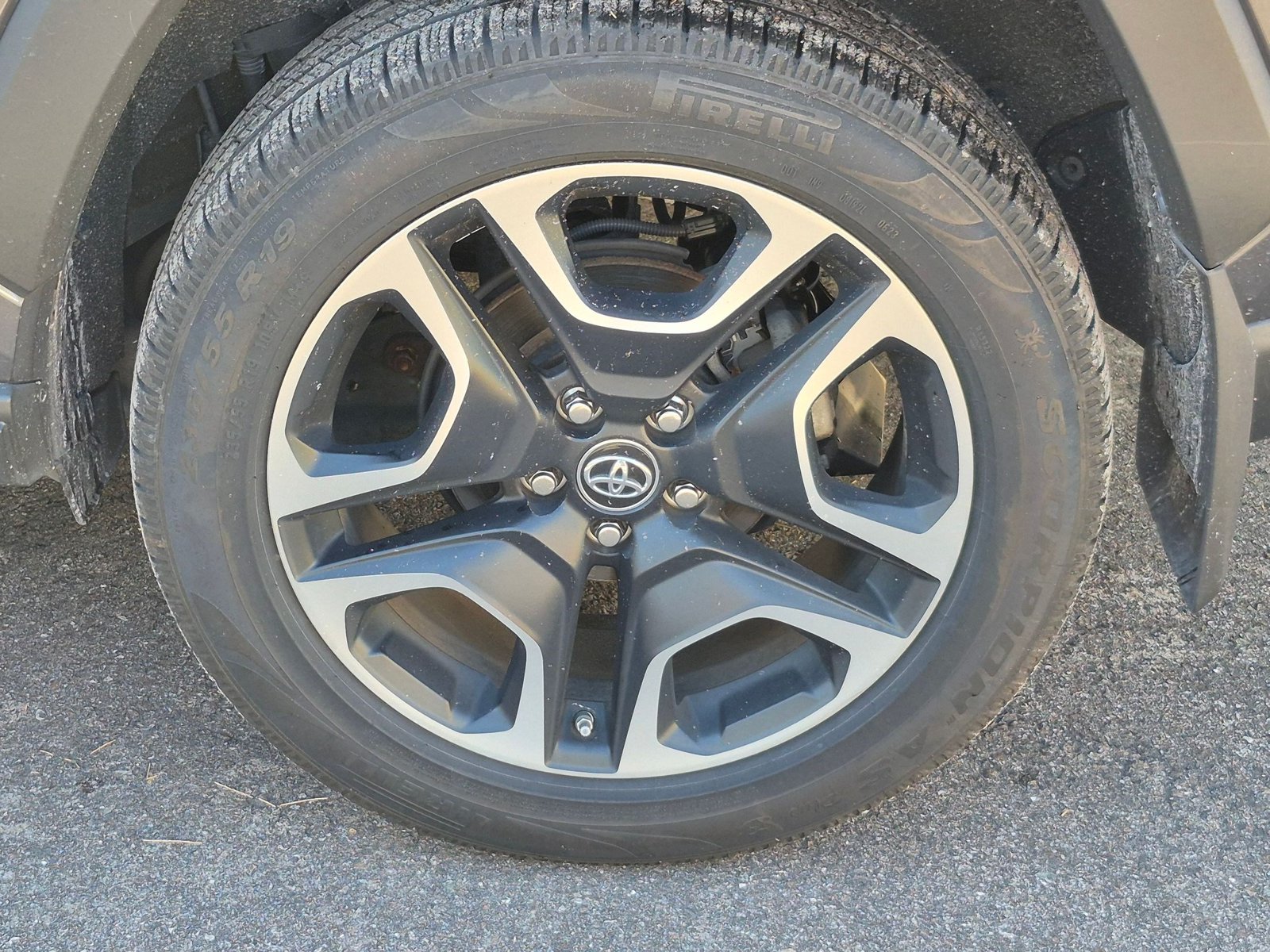 Photo 15