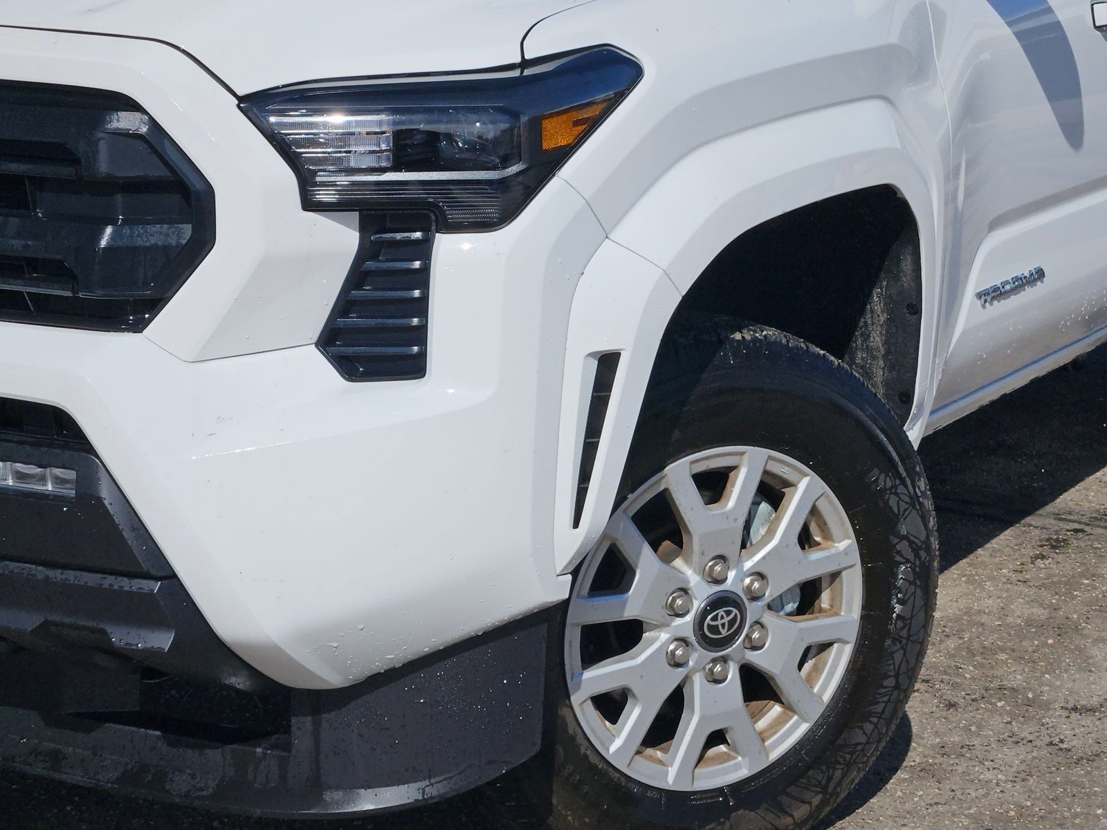 2024 Toyota Tacoma SR5 Double Cab photo 4