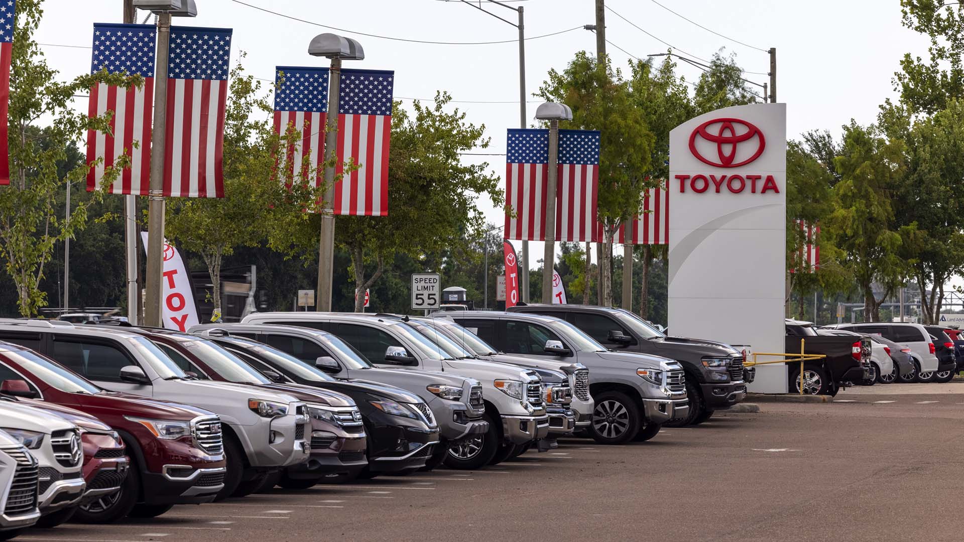 View of the car lot at AutoNation Toyota Pinellas Park