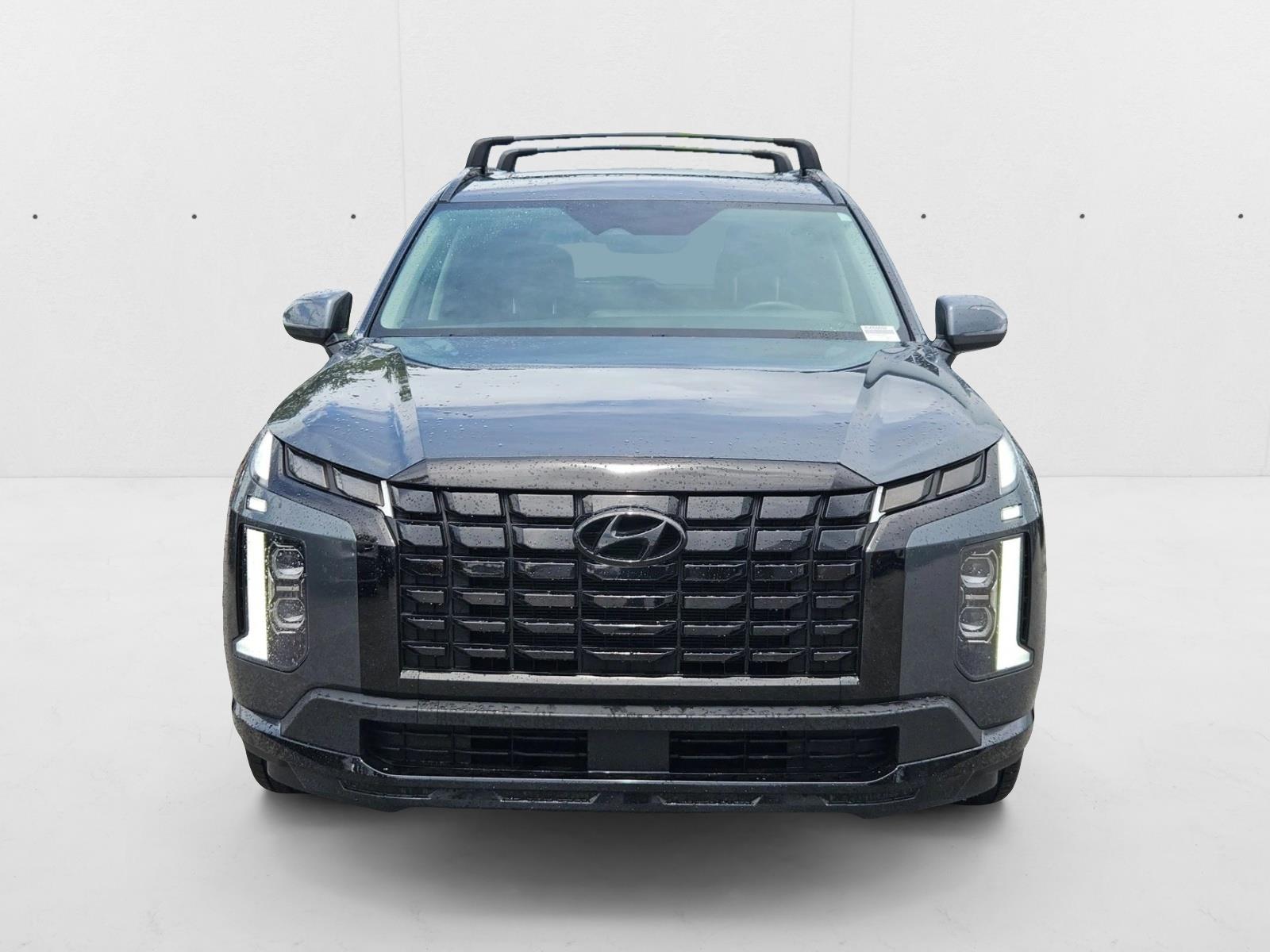 2024 Hyundai Palisade XRT photo 2