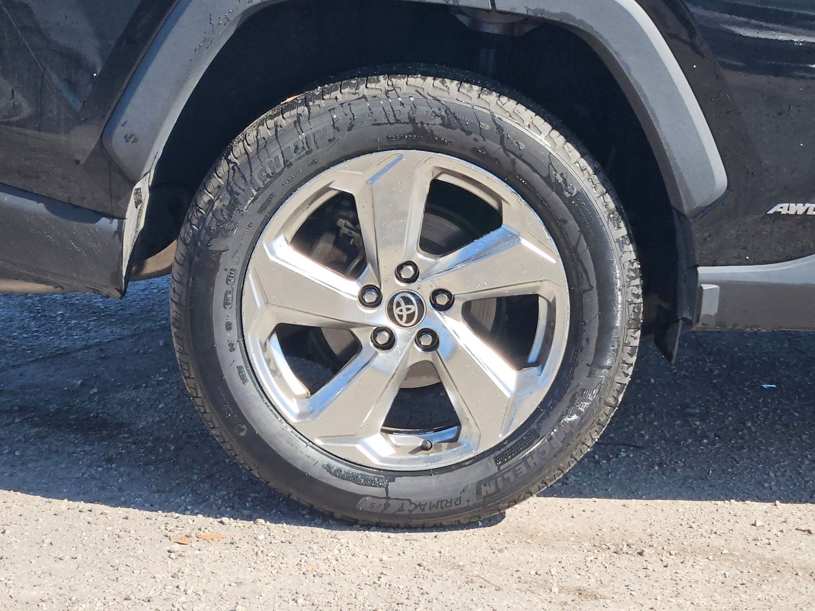 2021 Toyota RAV4 Hybrid XLE Premium photo 4