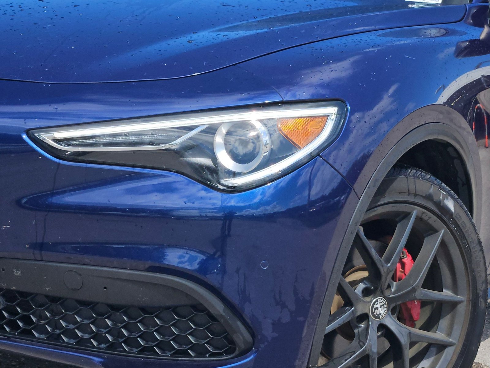 2019 Alfa Romeo Stelvio Ti photo 4