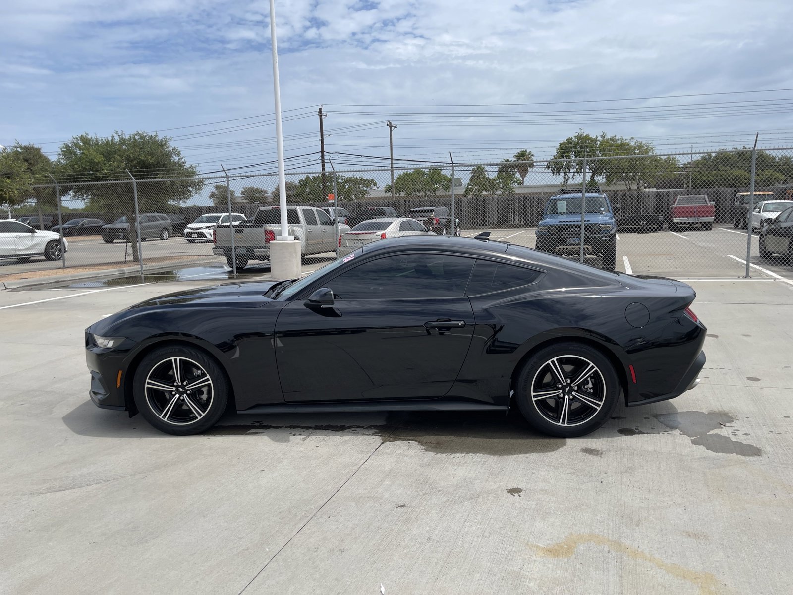 Used 2024 Ford Mustang EcoBoost with VIN 1FA6P8TH5R5114717 for sale in Corpus Christi, TX