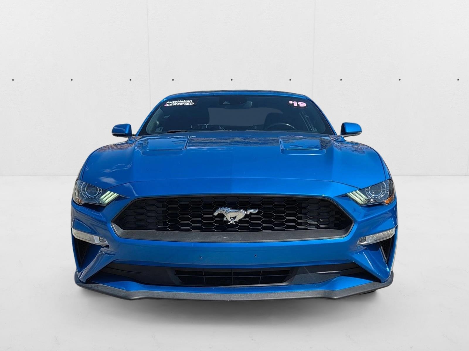 2019 Ford Mustang EcoBoost Premium photo 2