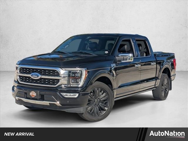 2023 Ford F-150 Platinum's photo