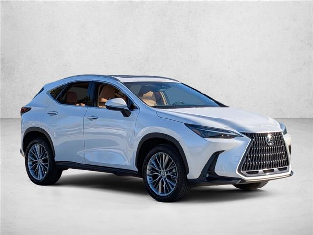2023 Lexus NX 350h Premium photo 3