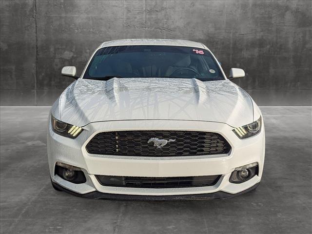 Used 2016 Ford Mustang V6 with VIN 1FA6P8AM6G5321257 for sale in Davie, FL