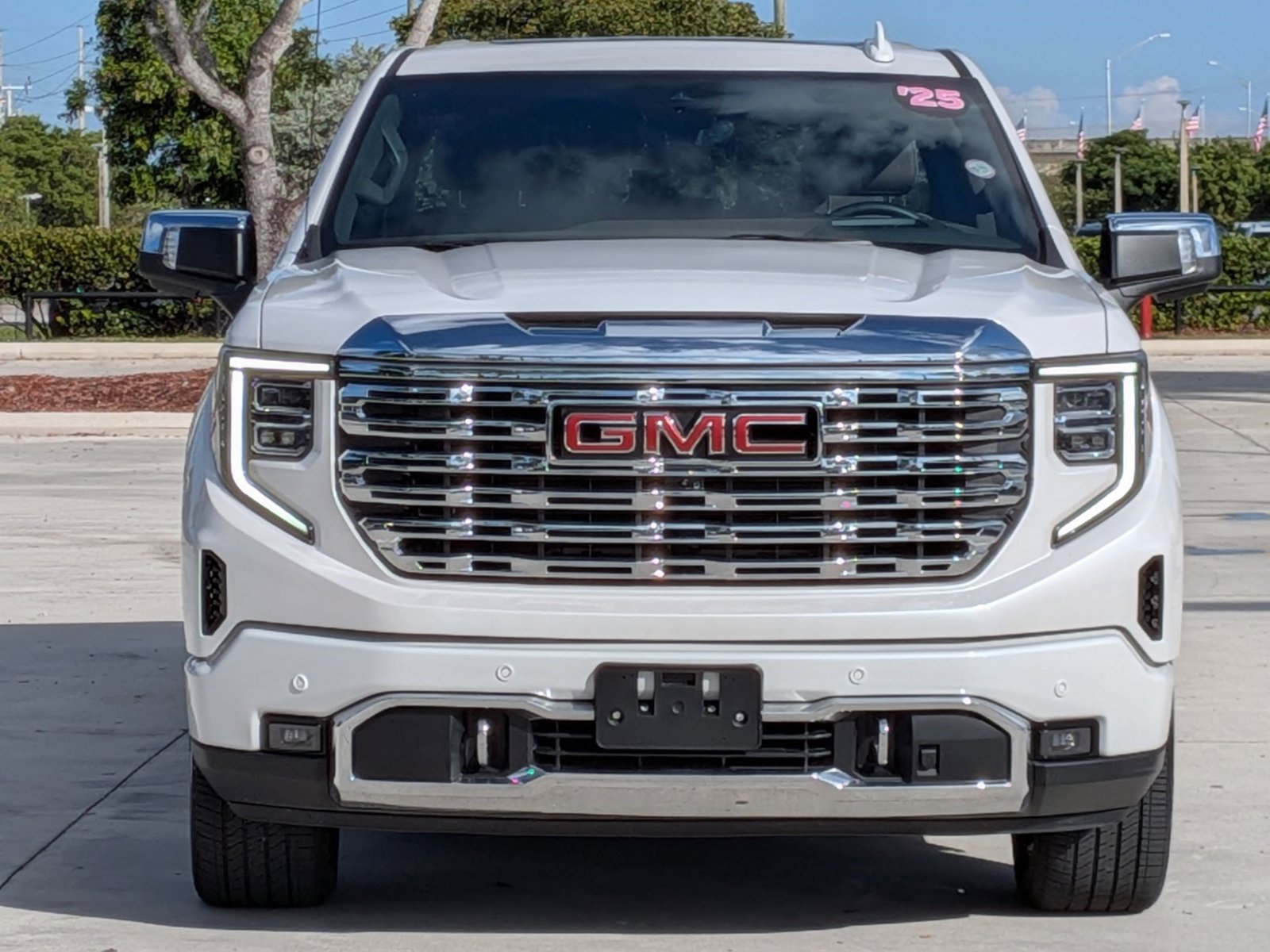 2025 Gmc Sierra 1500 Denali photo 2