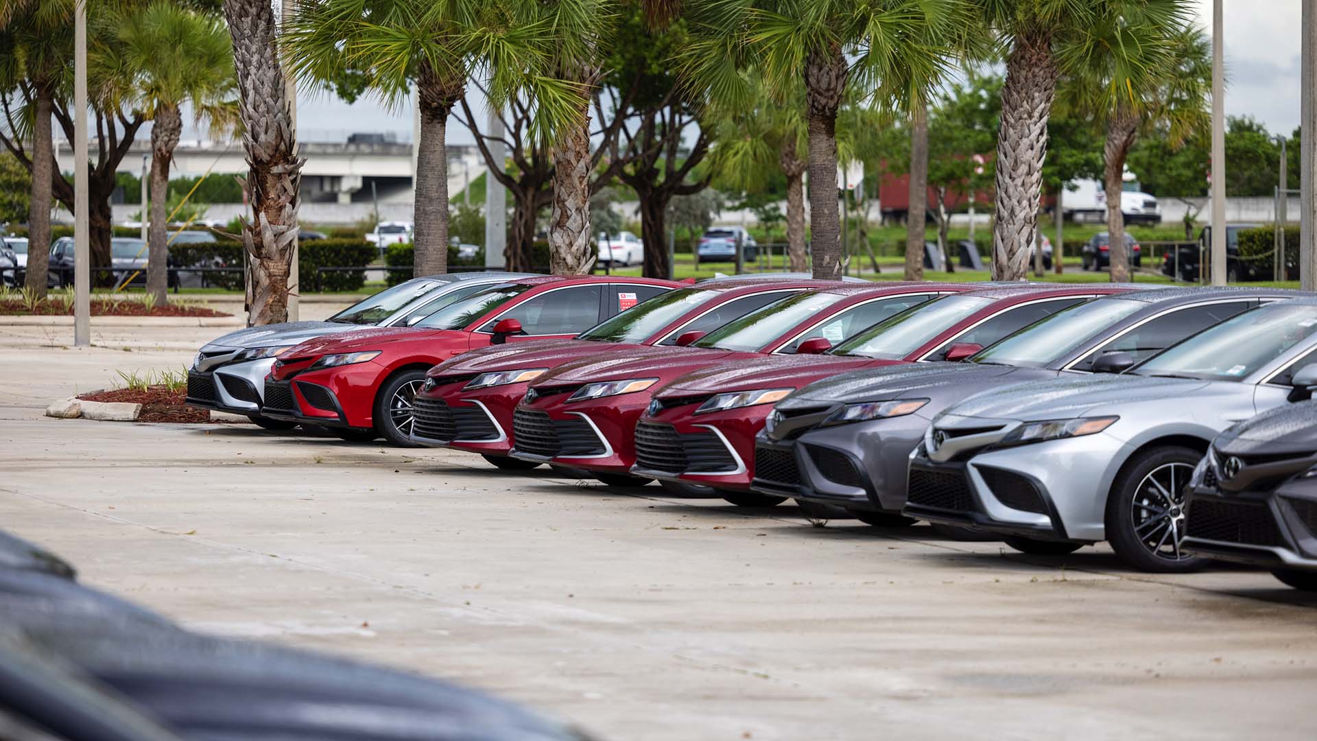 Davie Toyota Dealer AutoNation Toyota Weston