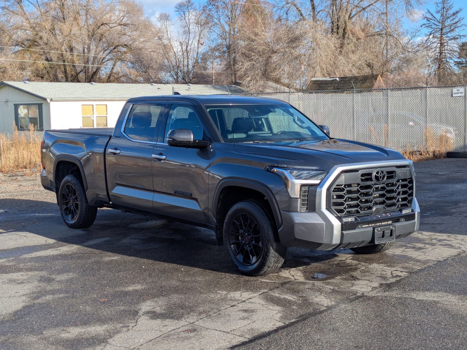 2023 Toyota Tundra Limited CrewMax photo 3