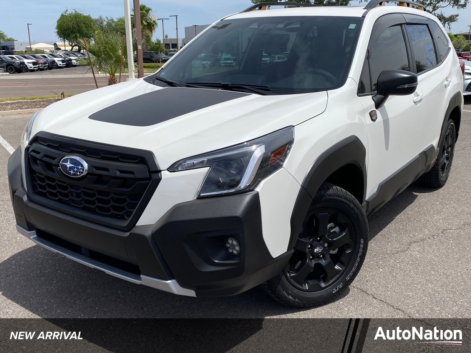 2024 Subaru Forester Wilderness's photo